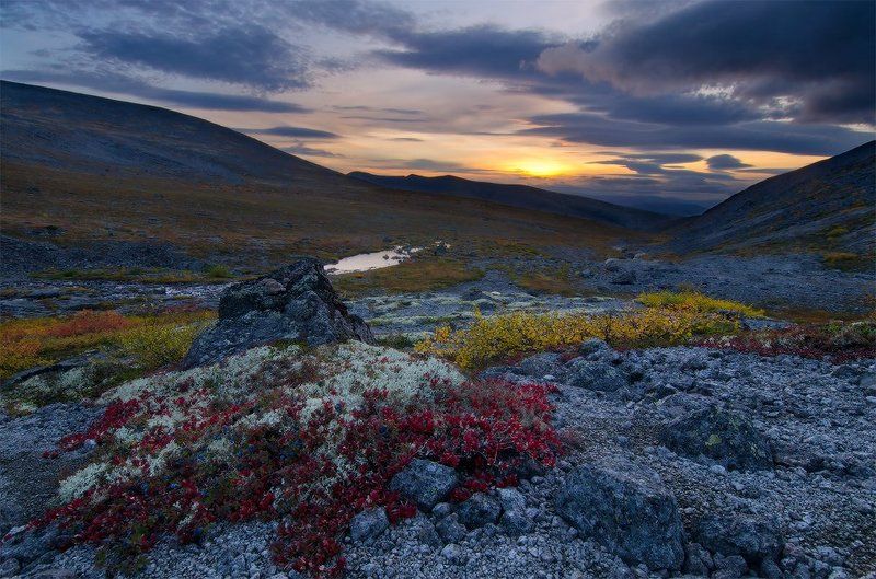 закат с голубикой фото превью
