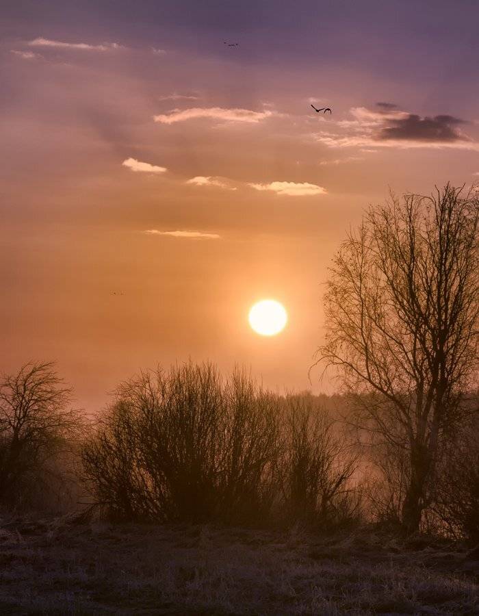 , Сергей Евдокимов