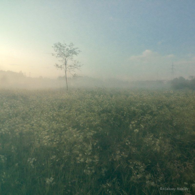 fog фото превью