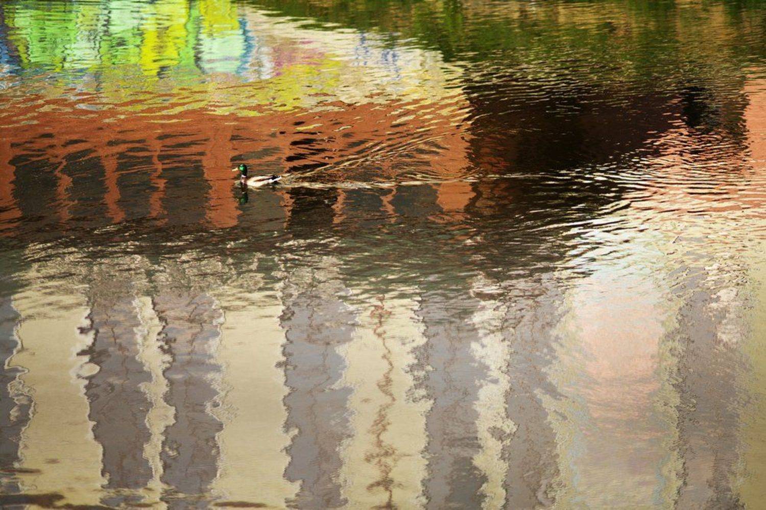 , Пасынков Иван