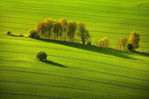 Spring Saxon Switzerland