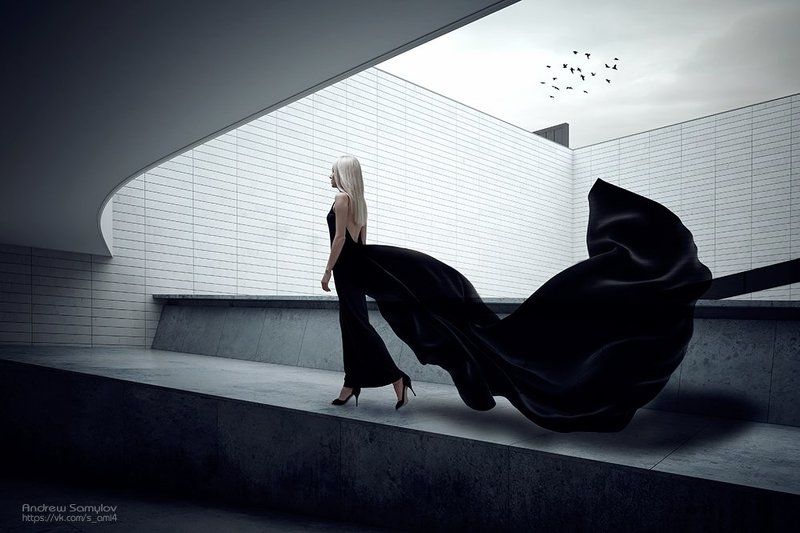 Колибри фото превью