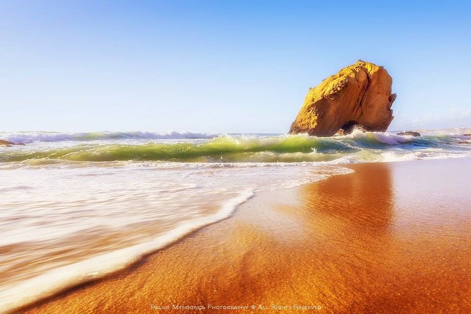 , Paulo Mendon&ccedil;a