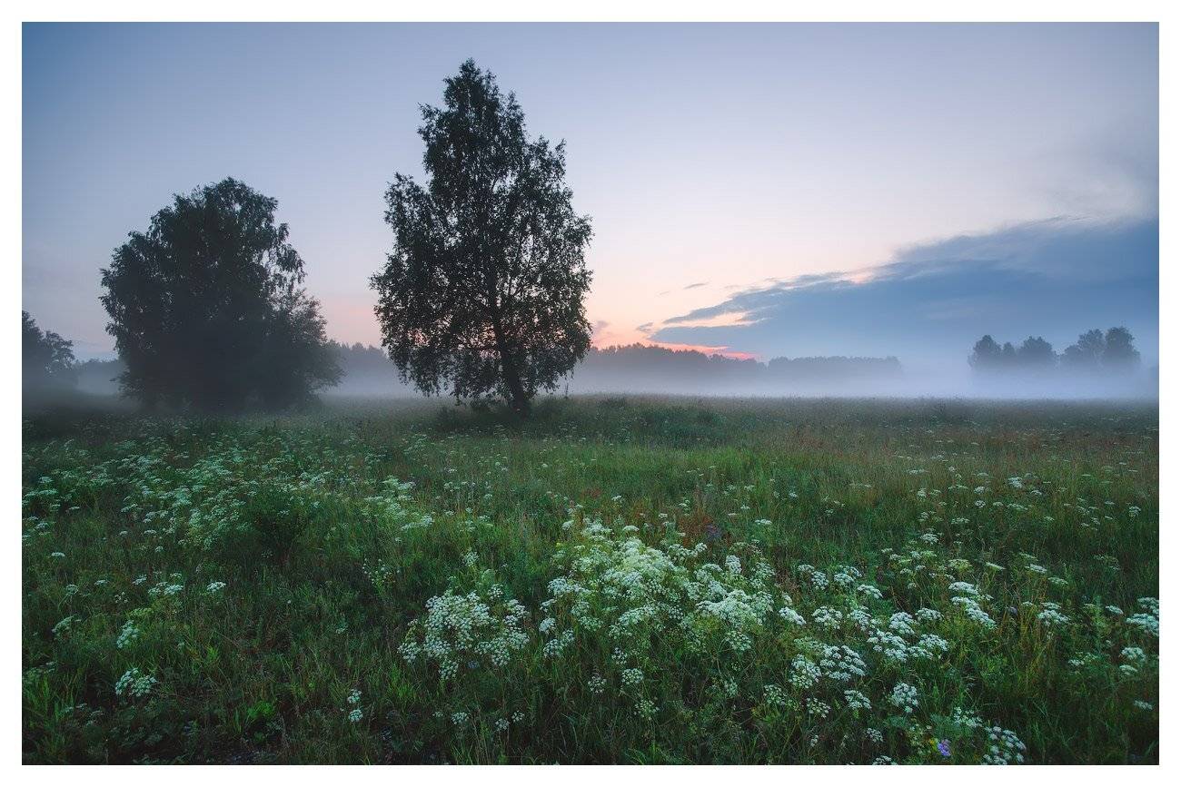 , Владимир Ляпин