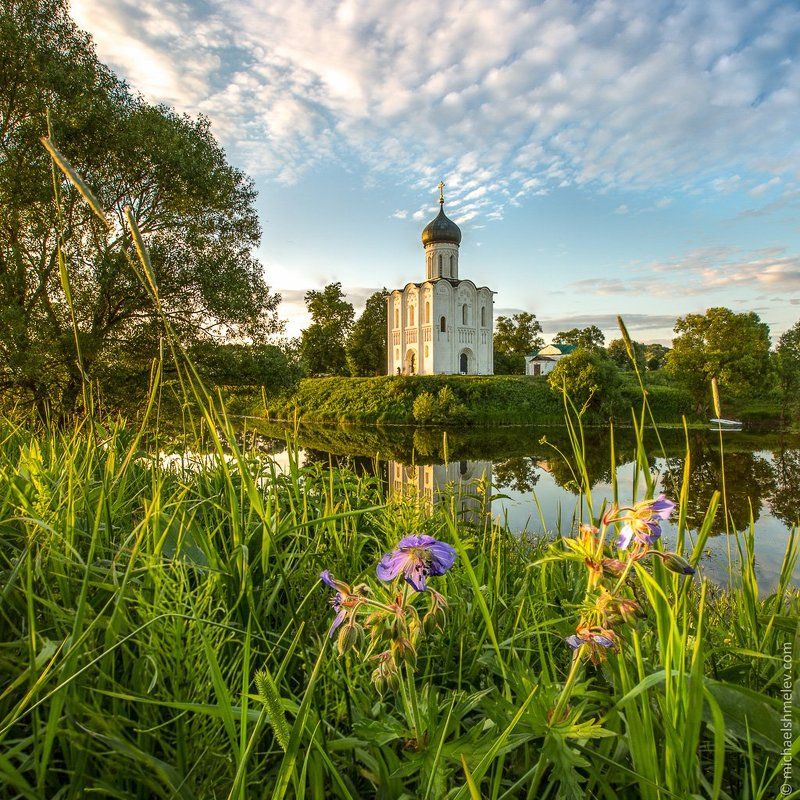 Церковь Покрова на Нерли в начале лета фото превью