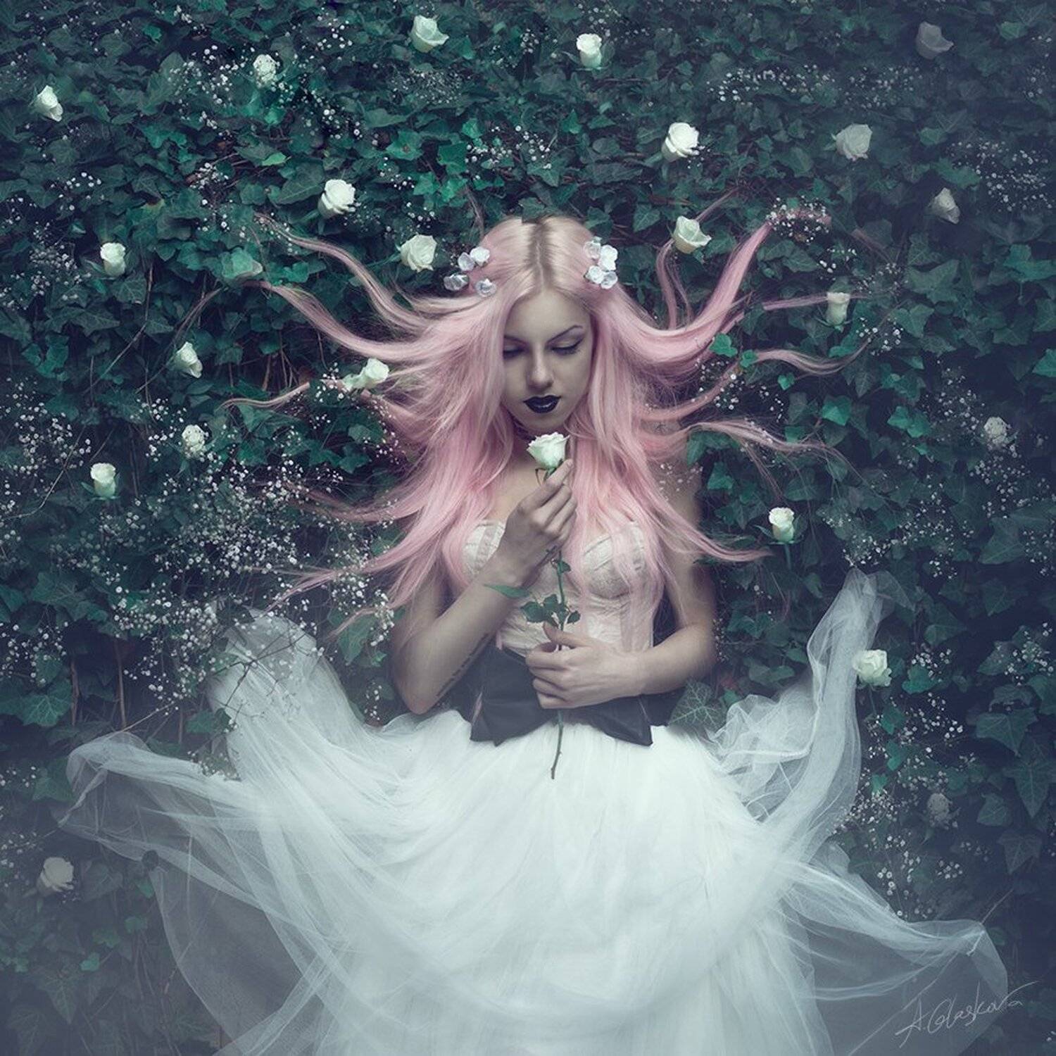 Beauty, Dark, Hair, Pink, Roses, Антония Гласкова