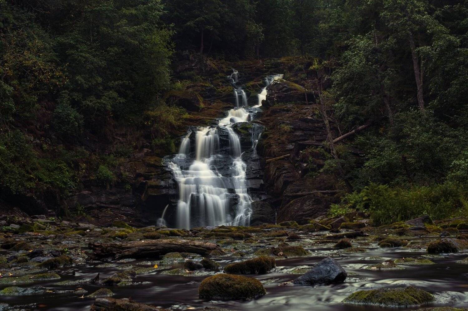 , Сергей Споялов