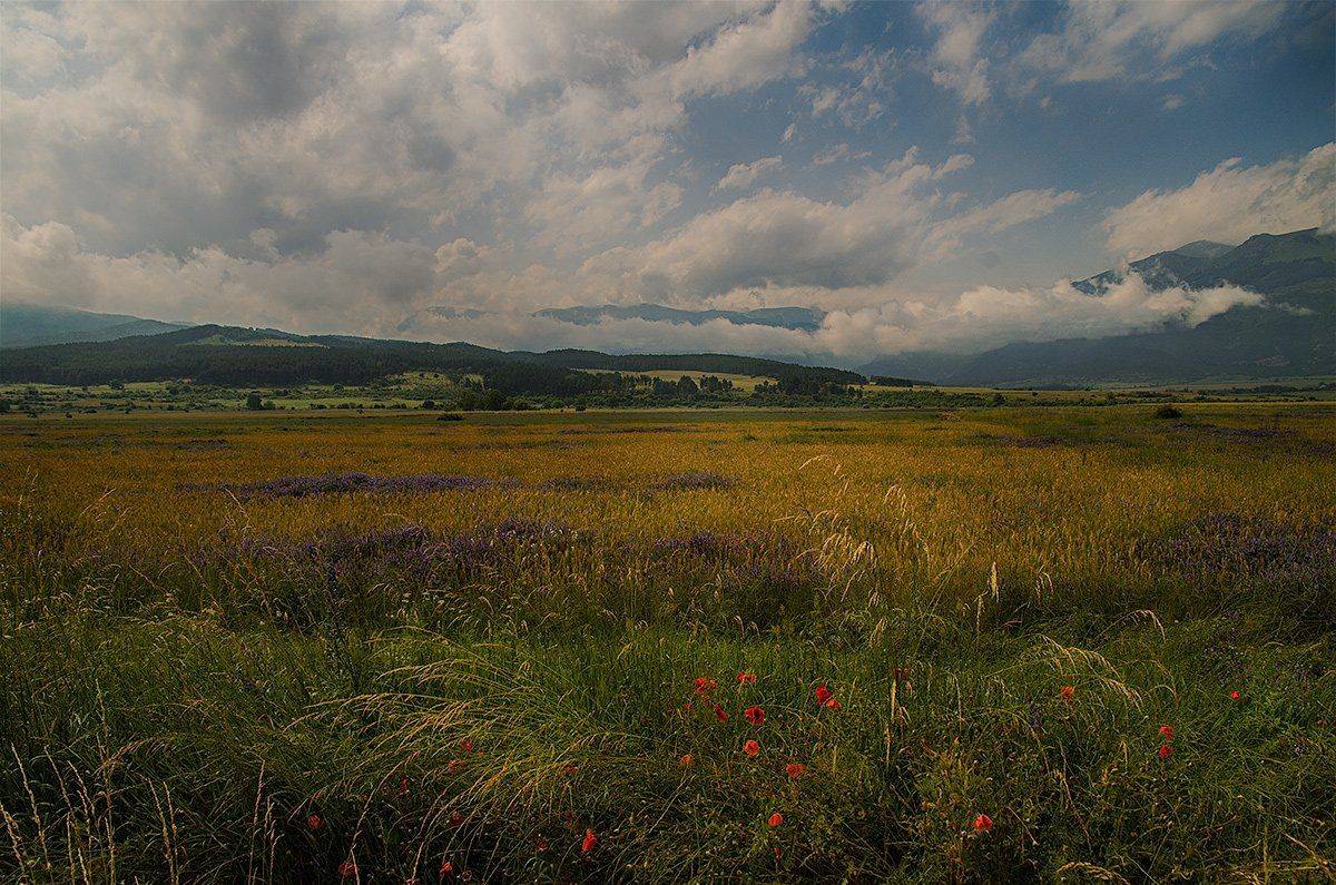 , Таня  Маркова