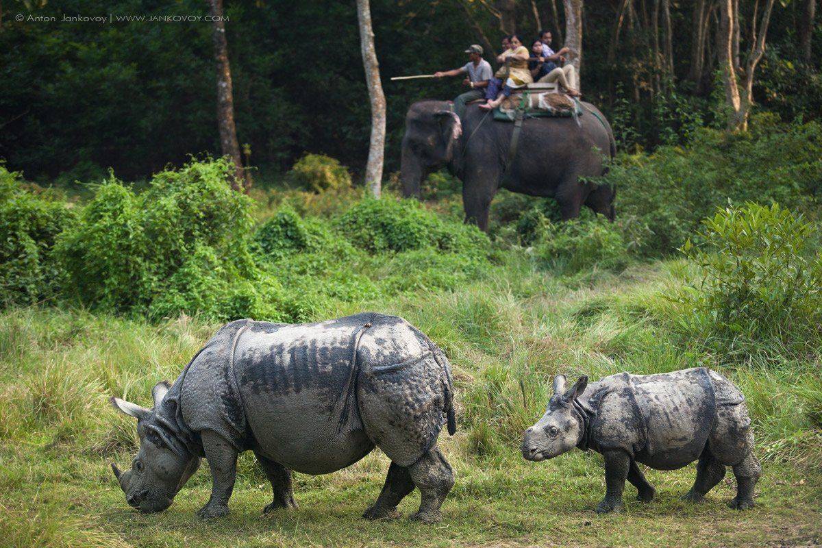 , Антон Янковой (www.photo-travel.com.ua)