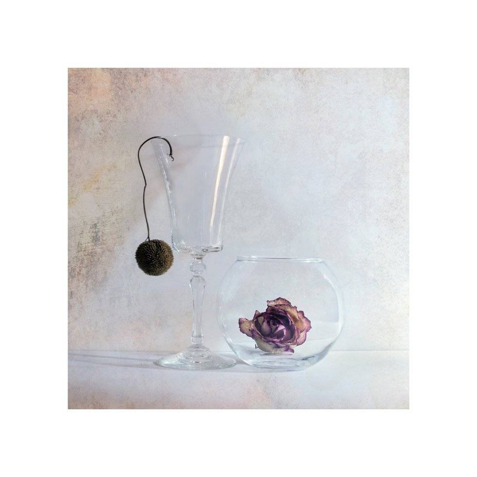 , Людмила Прокофьева