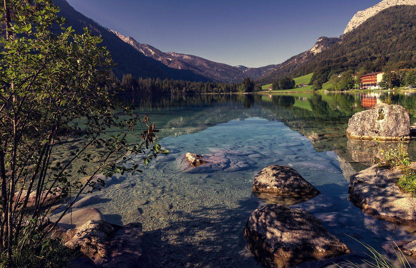 , Игорь Мелекесцев