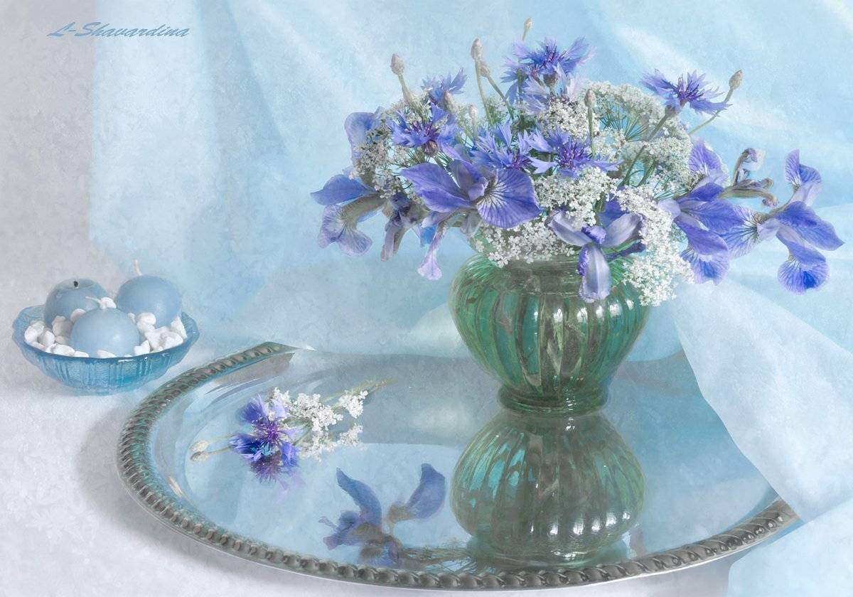 , Елизавета Шавардина