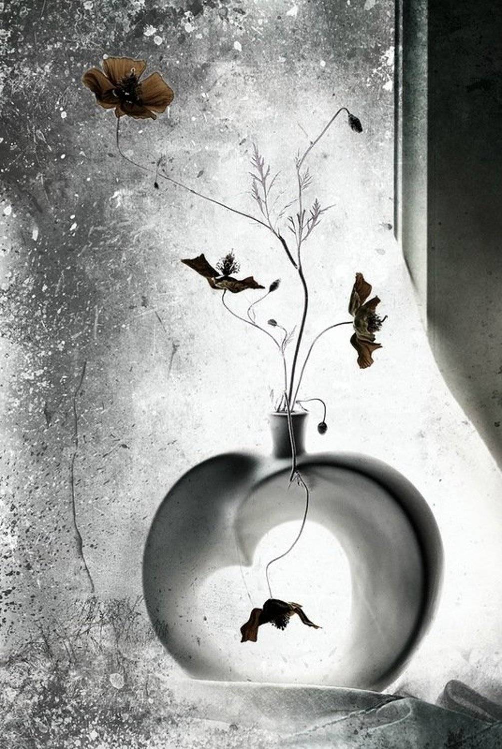 Момент, Настроение, Утро, Вероника Бабенко