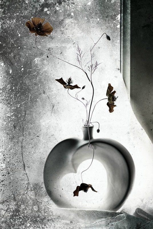 Момент, Настроение, Утро Момент из суеты... фото превью