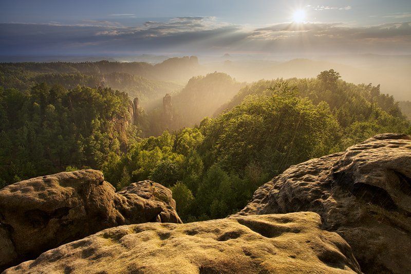In the Rain фото превью
