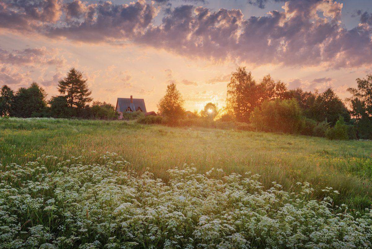 , Денис Сорокин