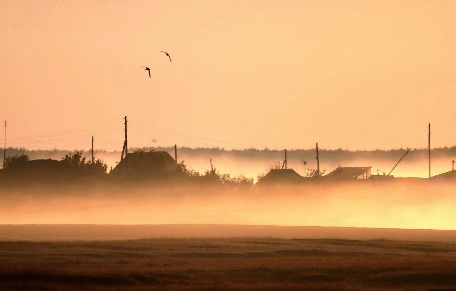 , Васенин Валерий
