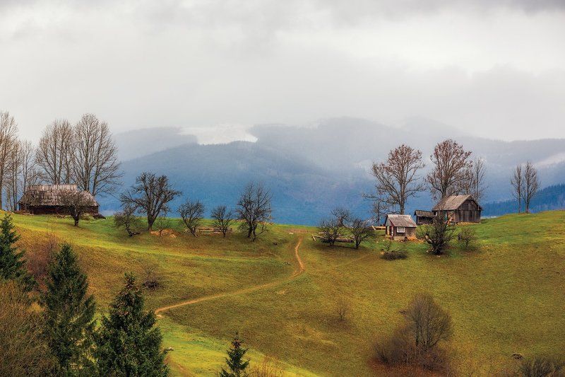 Ноябрь фото превью