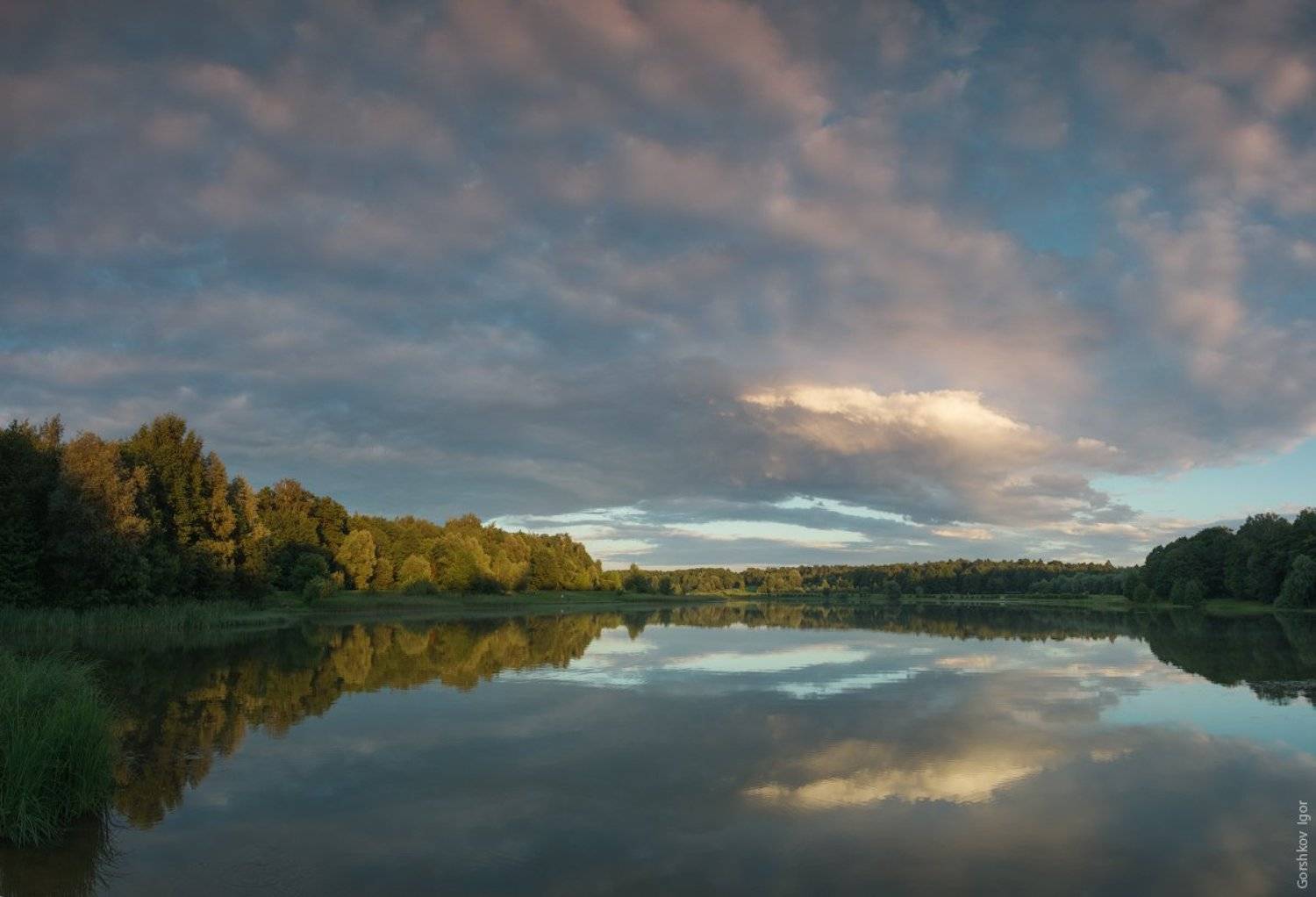 , Горшков Игорь