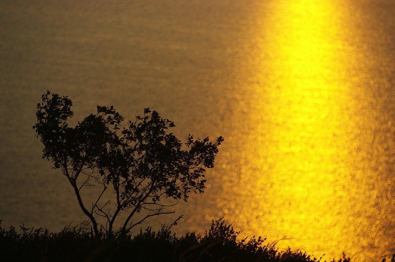 башкирия, башкортостан, русская швейцария Русская Швейцария фото превью