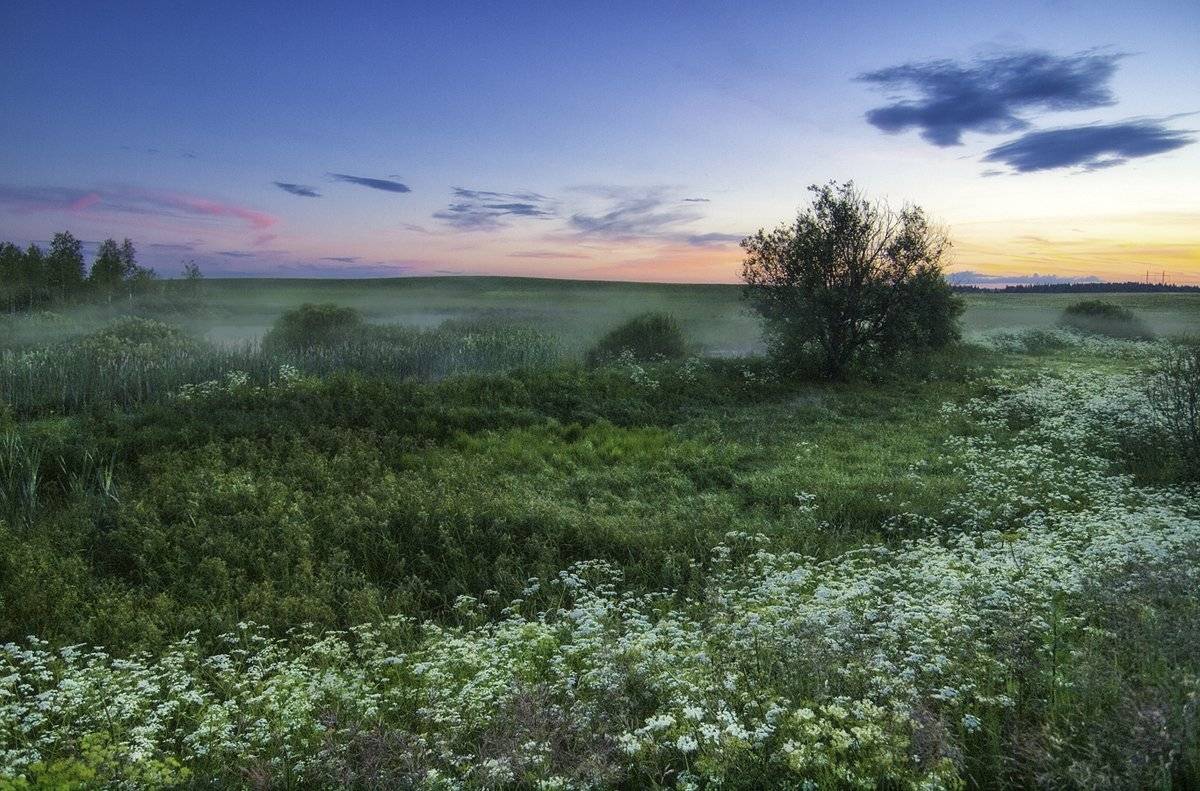 , Марина Брыдня