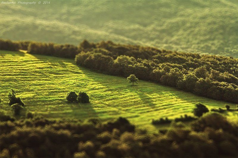 A Moment In The Sun II фото превью