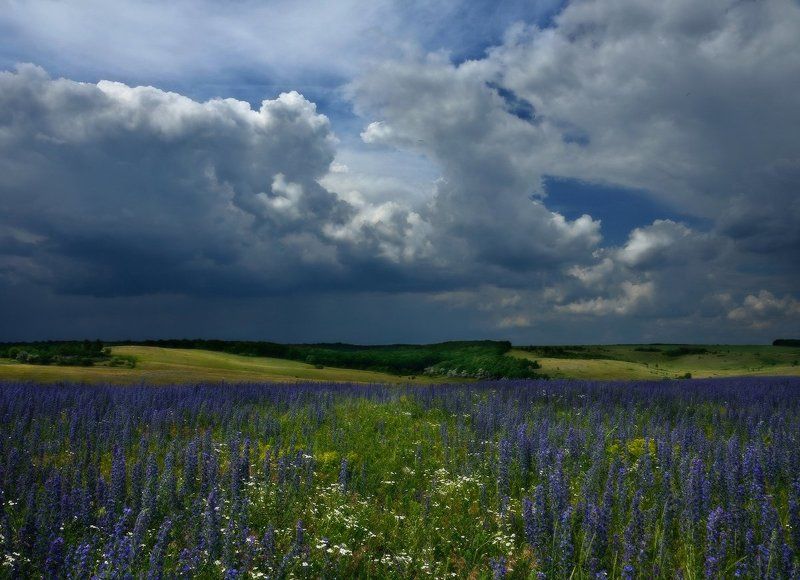Время дождей фото превью