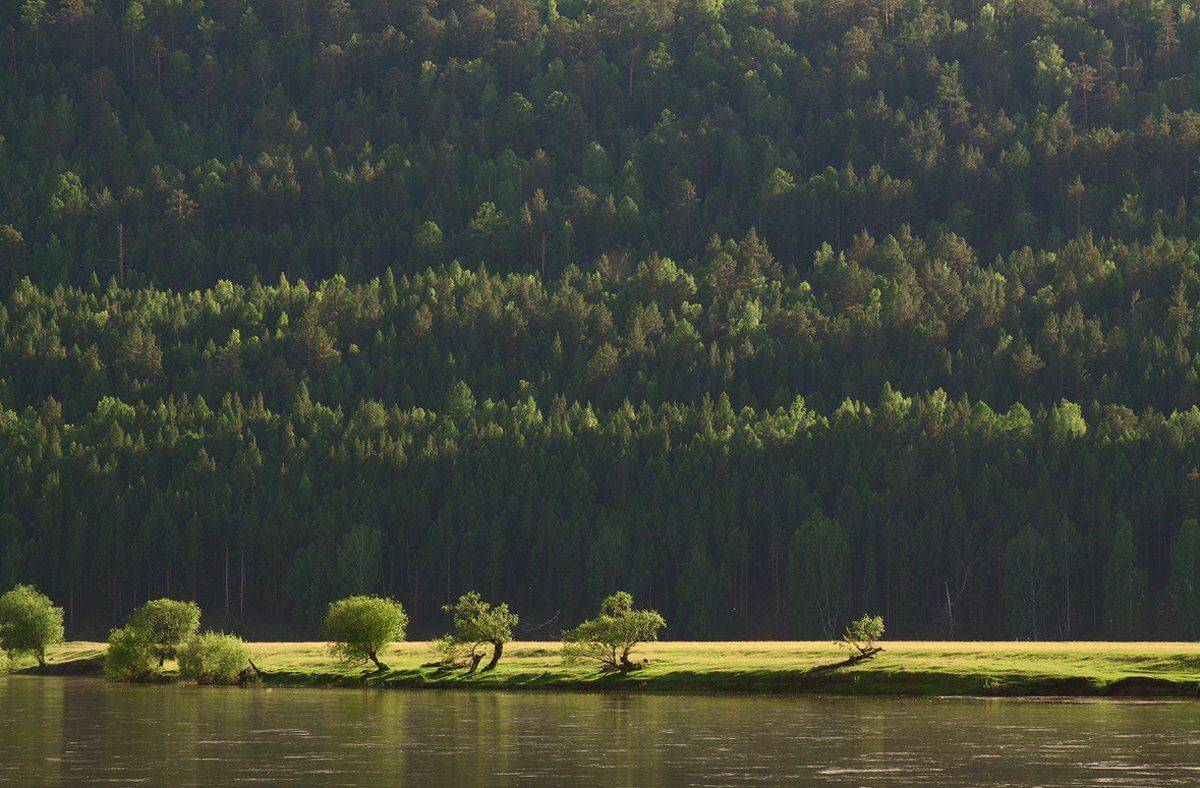 , Николай Морский