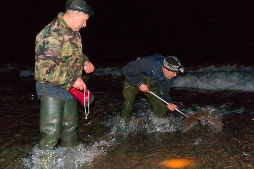 Ночной лов мойвы