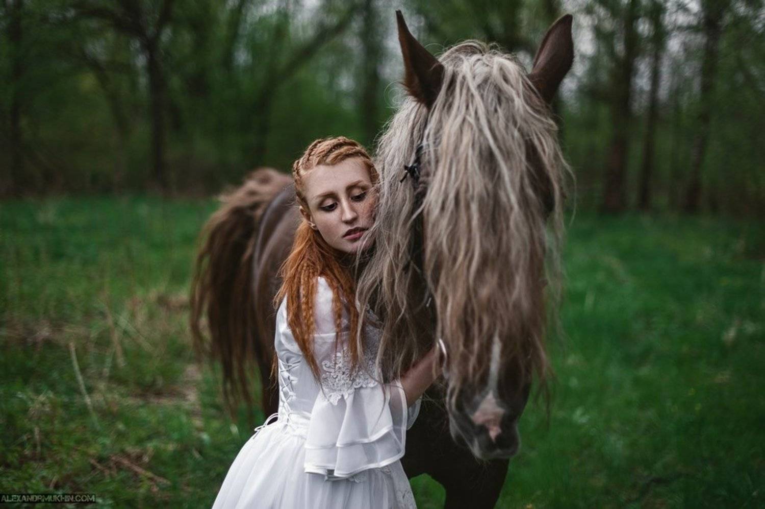 , Александр Мухин