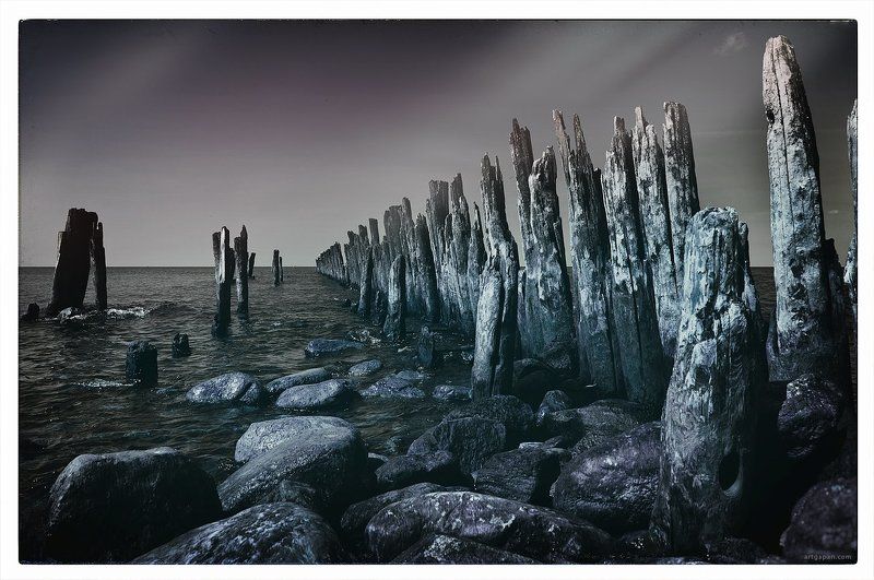 [In the Light of the Moon] фото превью