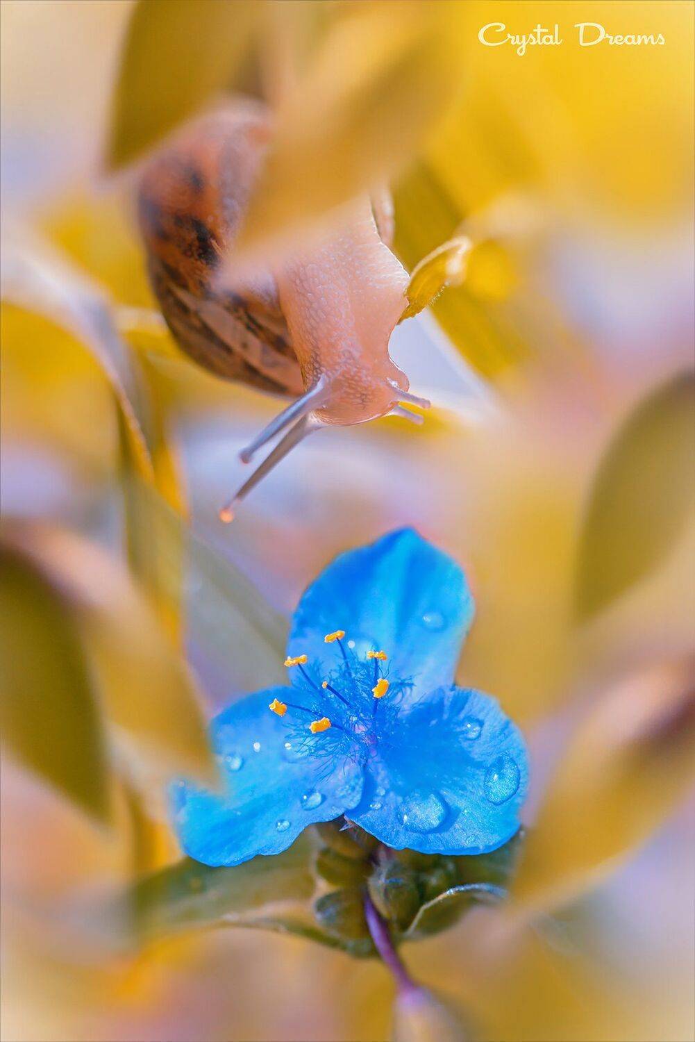 , Татьяна Крылова