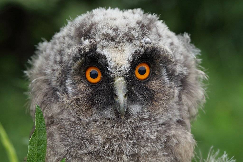 , Сергей Таланов