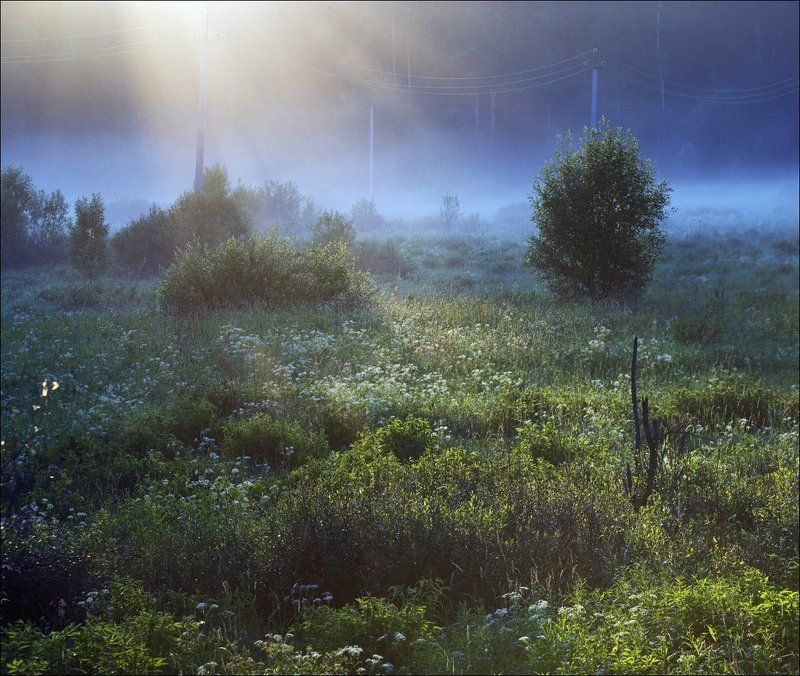 Лучи солнца в синем тумане фото превью