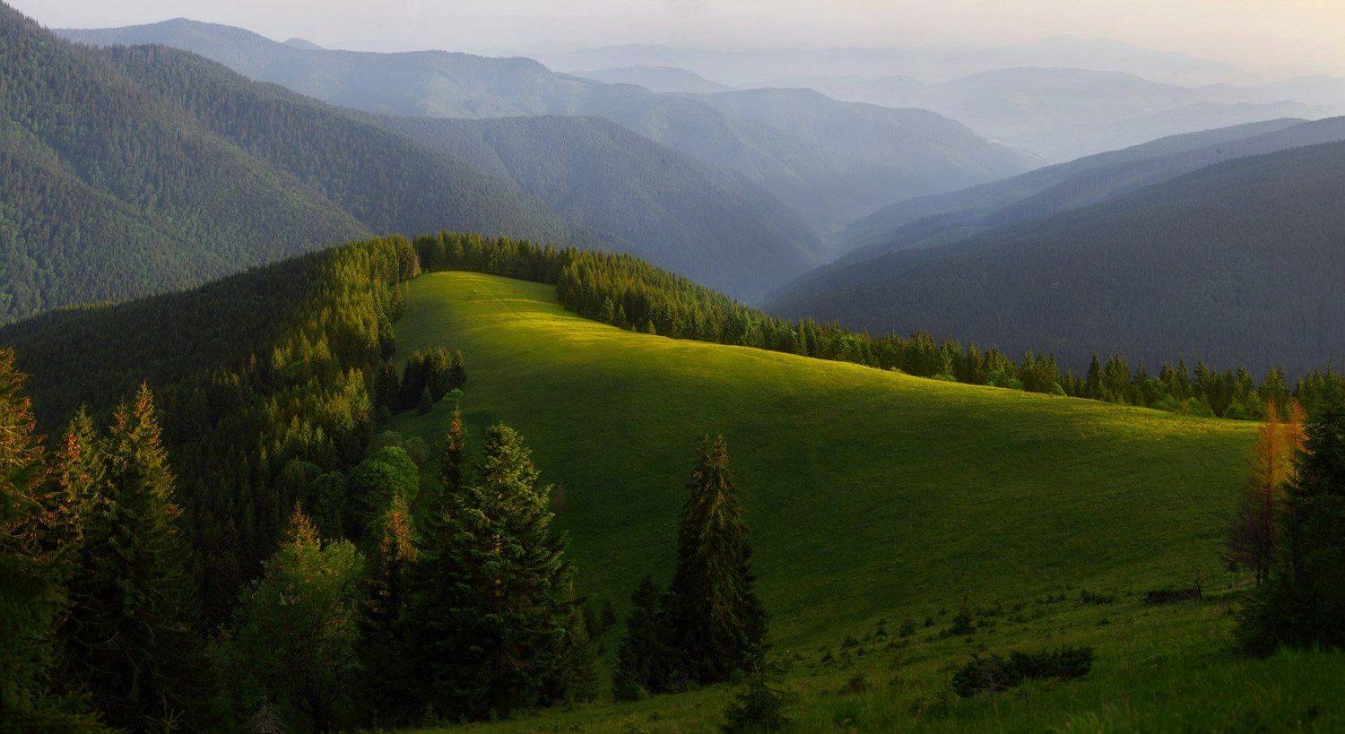 , Юрий Cазин