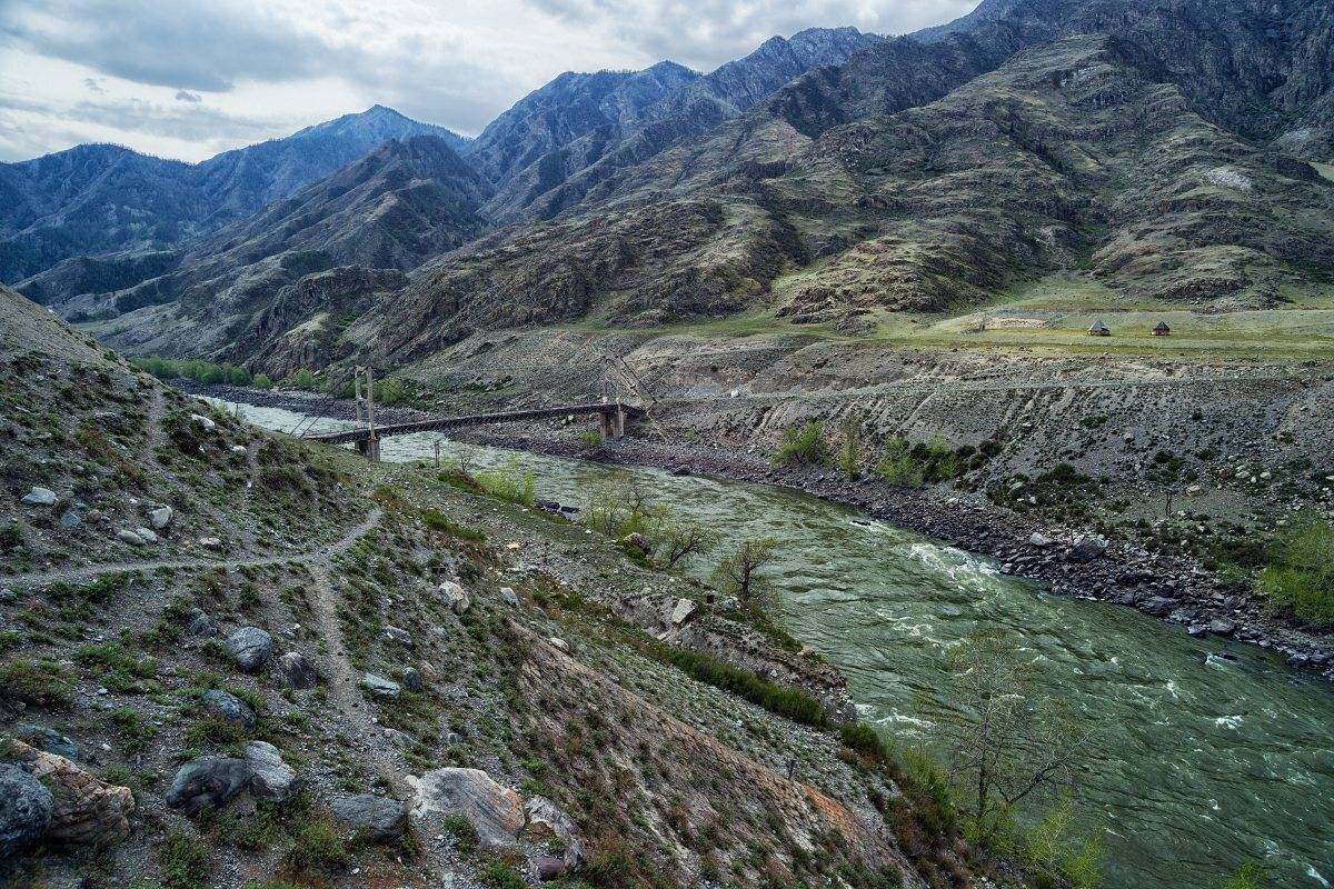 , Николай Ляпин