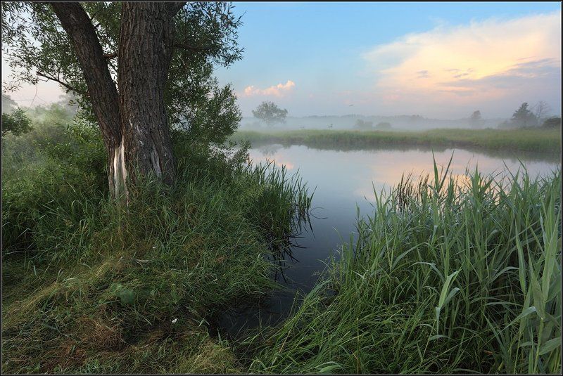 Заводь фото превью