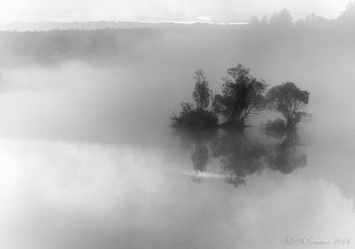 В утреннем тумане