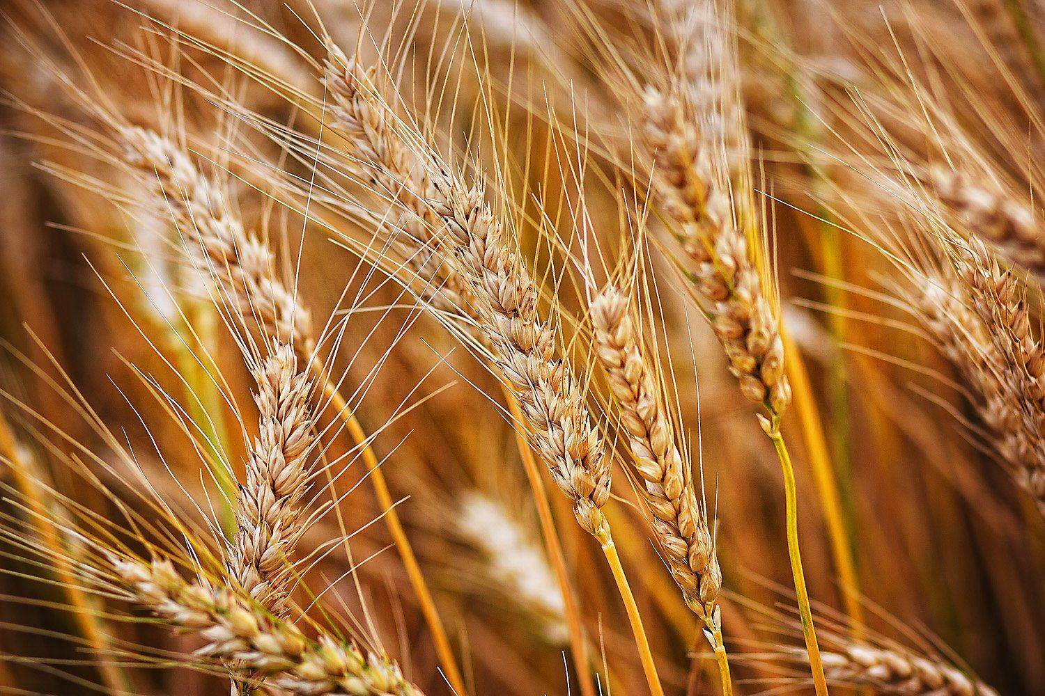 , Сергей Калинин