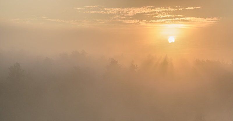 Прекрасное утро! фото превью