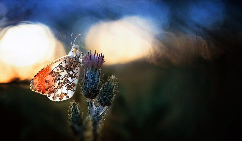 End of the day... фото превью