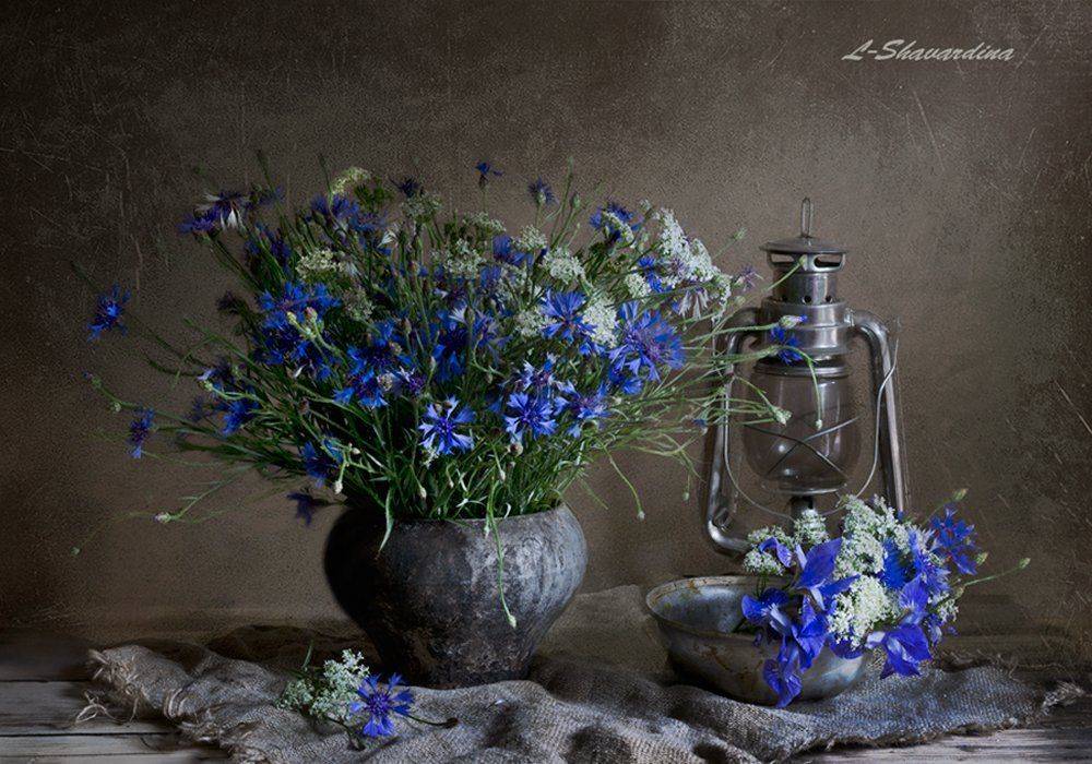 , Елизавета Шавардина