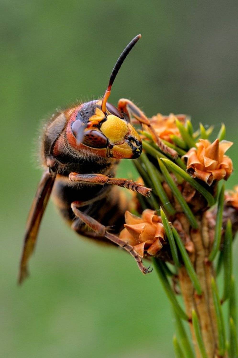 , Курочкин Валерий