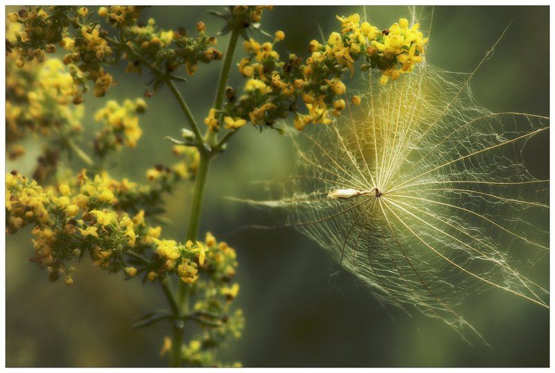 In фото превью