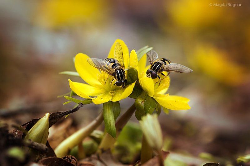 Team at Work фото превью