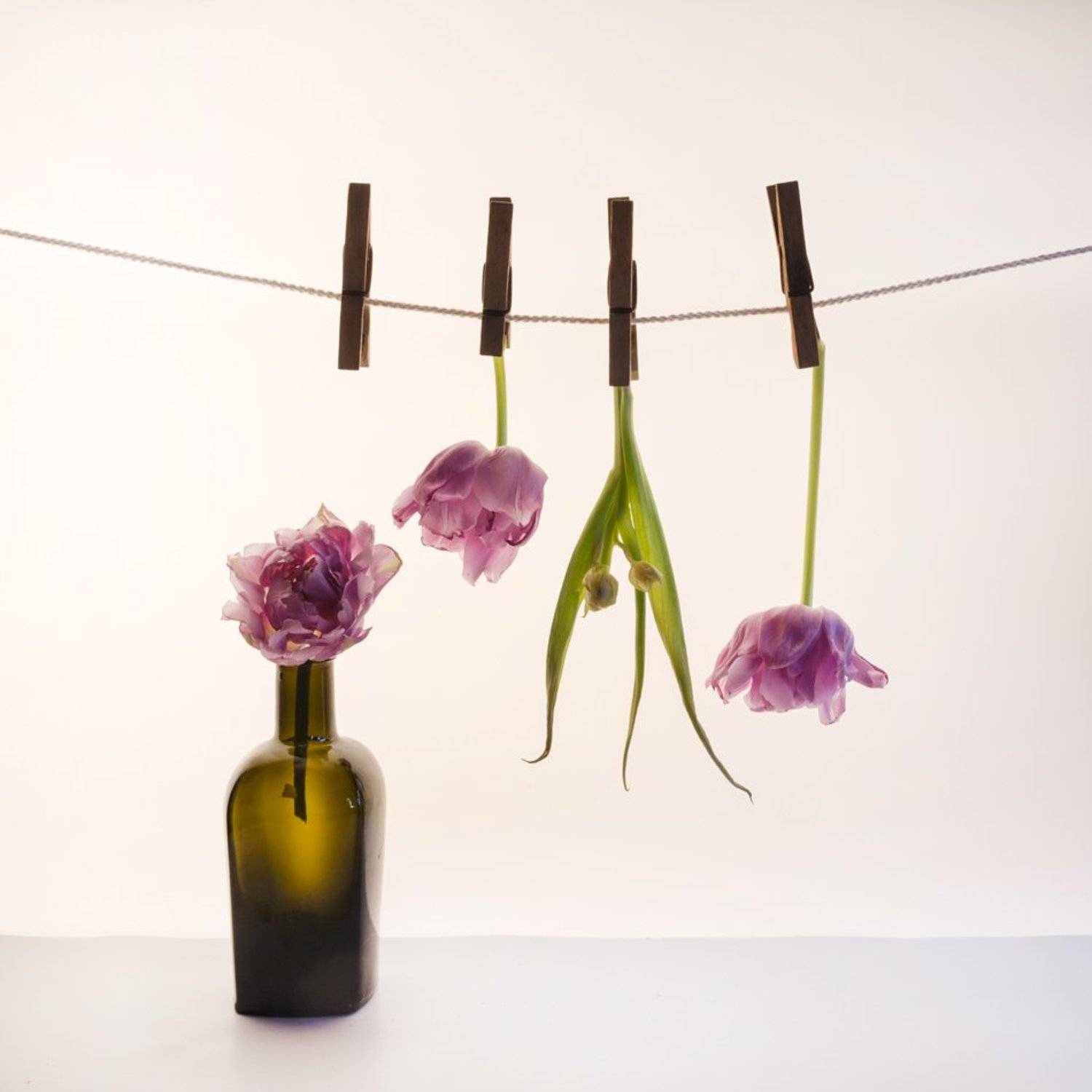 , Людмила Прокофьева