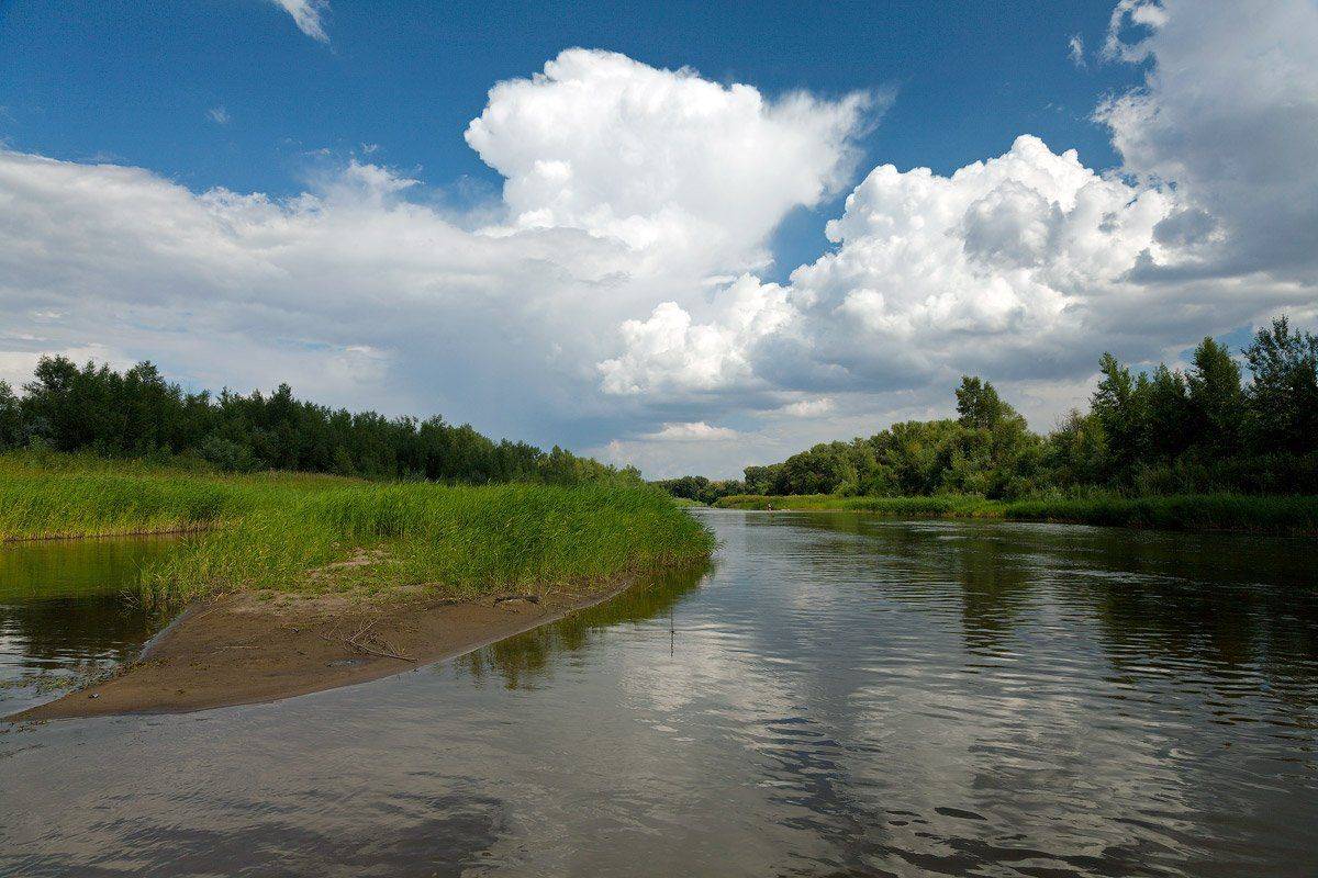 , Kuchkai_murza