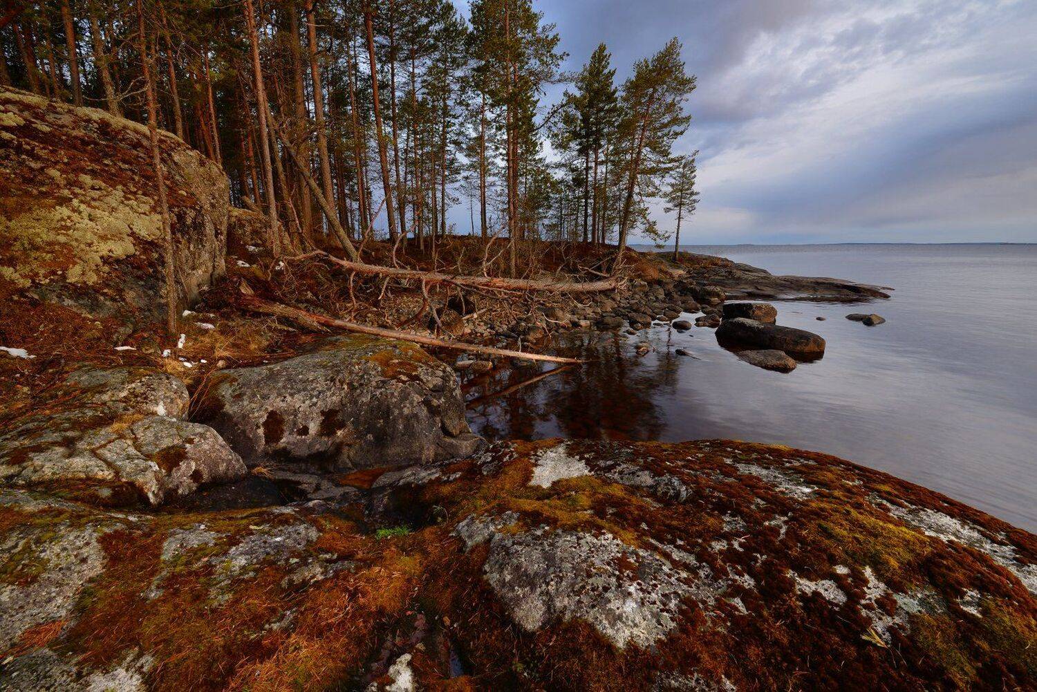 , Максим Евдокимов