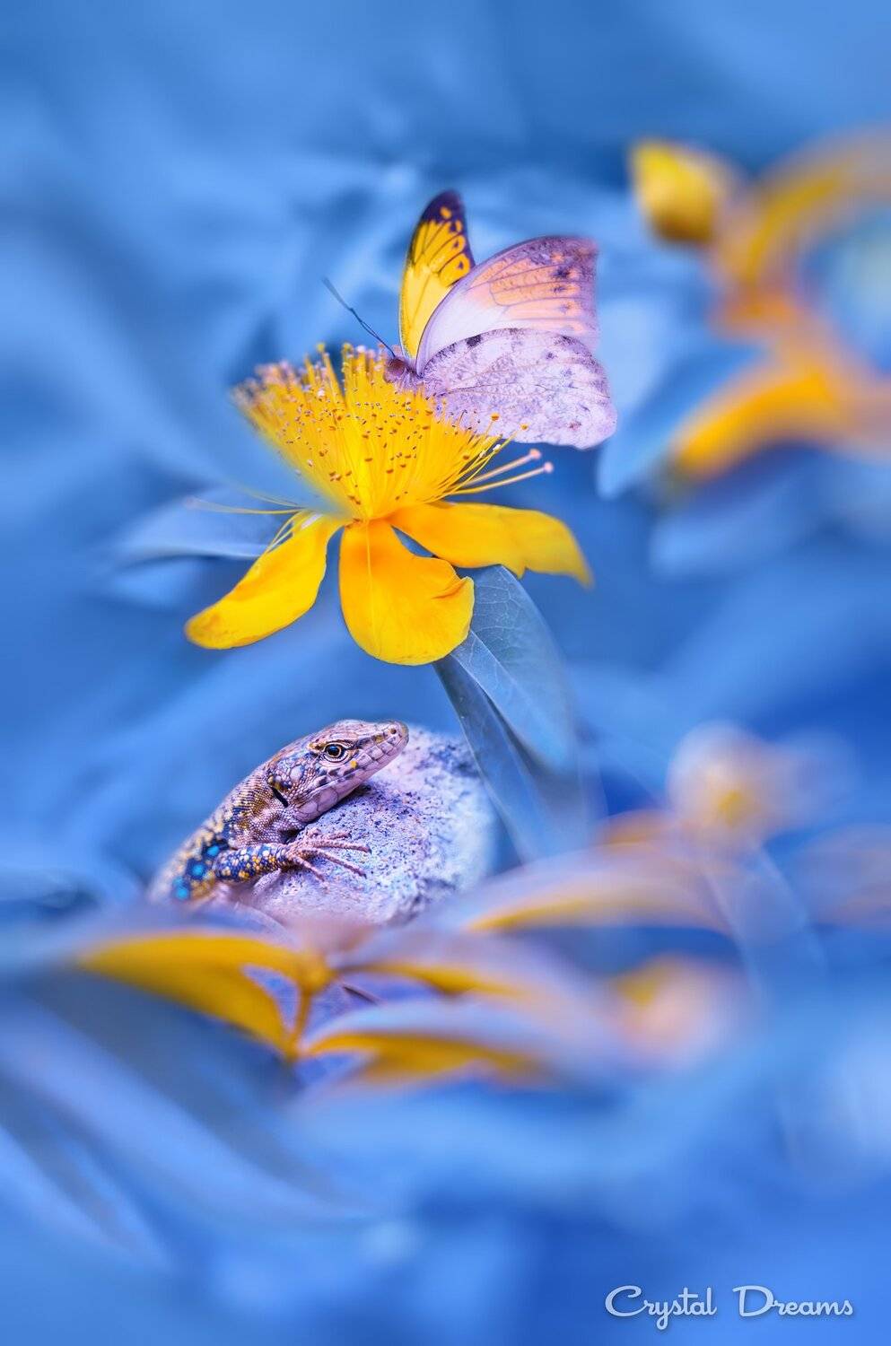 , Татьяна Крылова