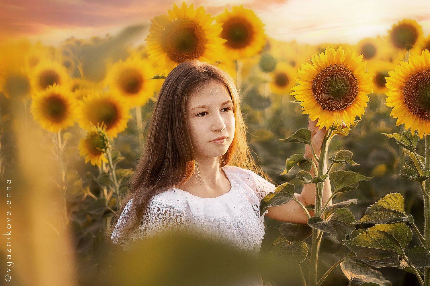 фотограф Лисичанск, летняя фотосессия, фотосессия на природе, Анна Вязникова, Лисичанск, фотограф Северодонецк, фотосессия с цветами, детский фотограф,  семейный фотограф, фотосессия в подсолнухах,, Анна Вязникова